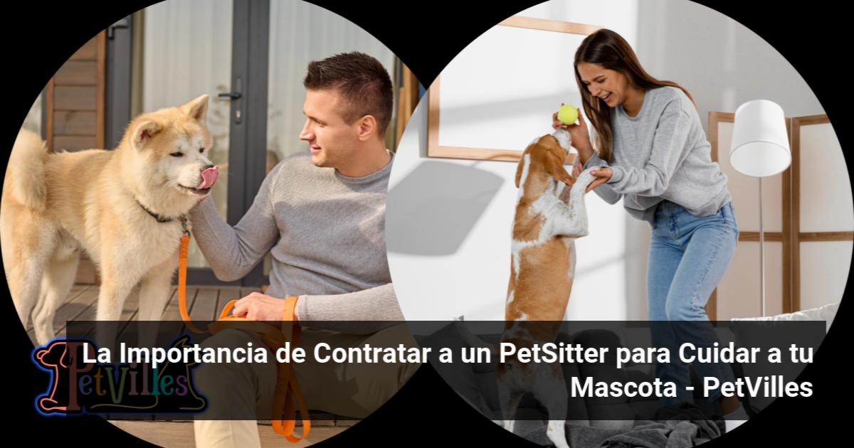 La Importancia de Contratar a un PetSitter para Cuidar a tu Mascota ...