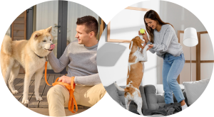 Lee más sobre el artículo La Importancia de Contratar a un PetSitter para Cuidar a tu Mascota