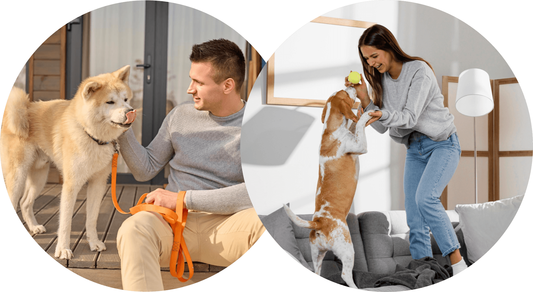En este momento estás viendo La Importancia de Contratar a un PetSitter para Cuidar a tu Mascota