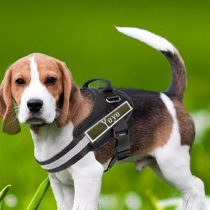 Parche bordado personalizado