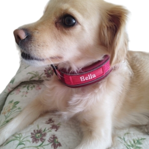 Collar Personalizado Bordado Mascota
