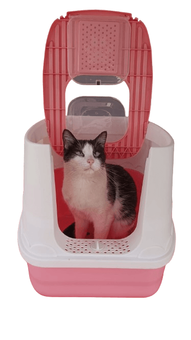 Arenero Cerrado Antisalpicaduras Para Gato - Imagen 5