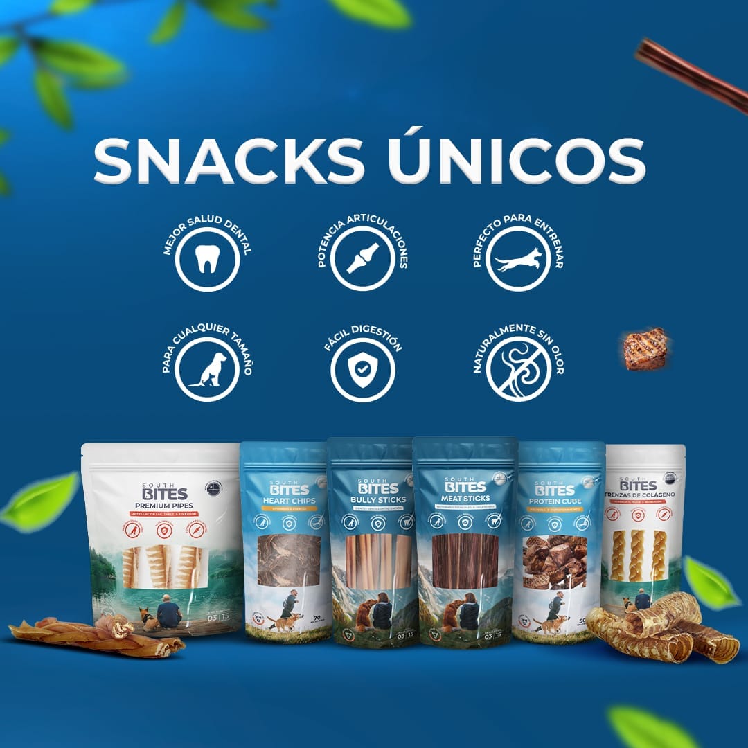 snacks para perros