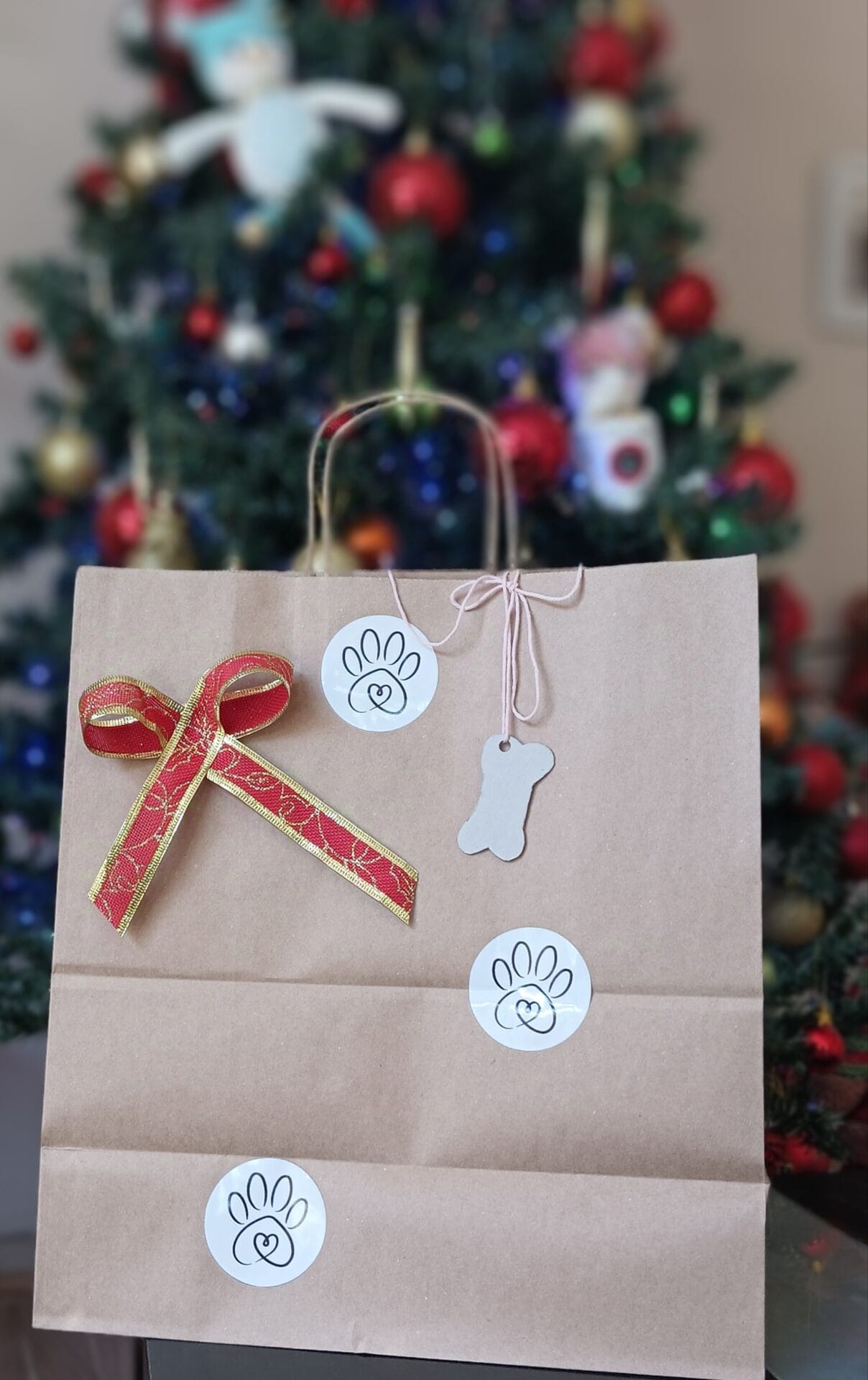 Pack Regalo de Navidad para Perros 🎁: Elige tu Opción Favorita - Imagen 2