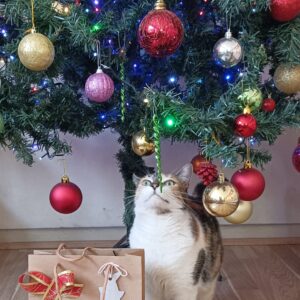 Pack Regalo de Navidad para Gatos 🎁: Comida Hill’s y Catnip Spray Bioline