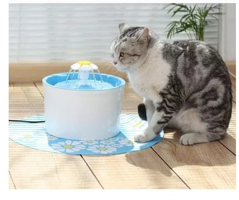 Fuente Bebedero para Gatos y Perros - Imagen 4
