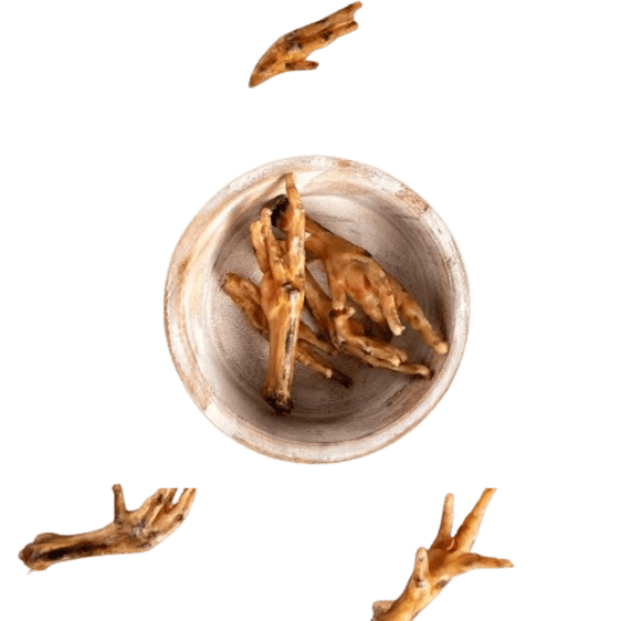 Patitas de Pollo Deshidratadas Naturales para Perros - Imagen 4