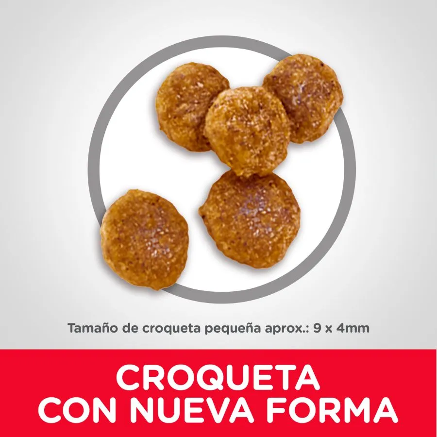 Hills Science Diet Adult Small Bites Chicken & Barley Recipe dog food - Imagen 3