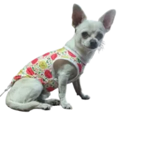 Polera Primavera Verano Perro Manzanas S