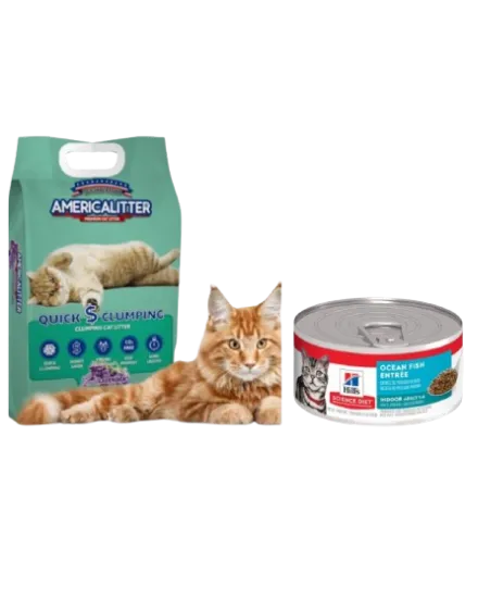 Arena Americalitter 15kg + Latas Hill's | Pack Gato - Imagen 3