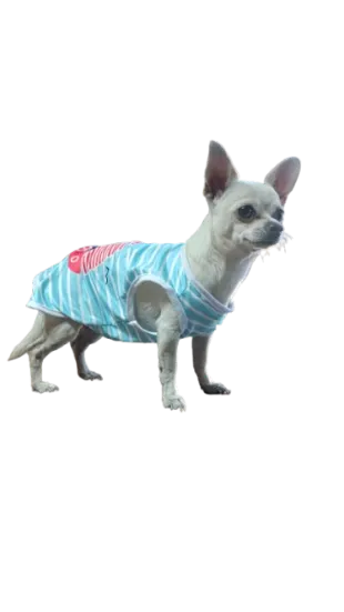 Polera Perros Primavera Verano Barco M